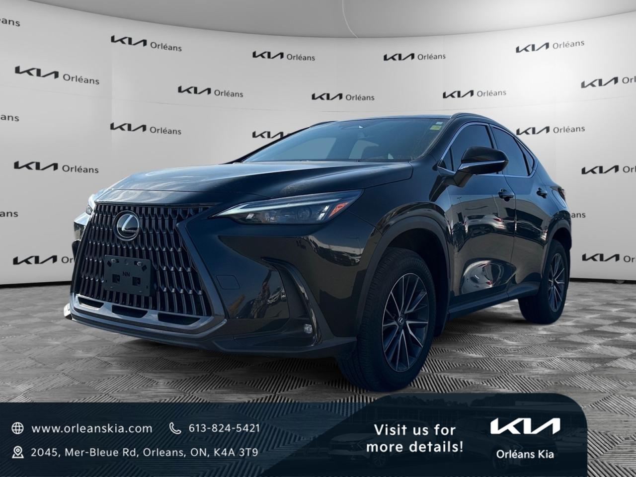 Used 2025 Lexus NX 350h for sale in Orleans, ON