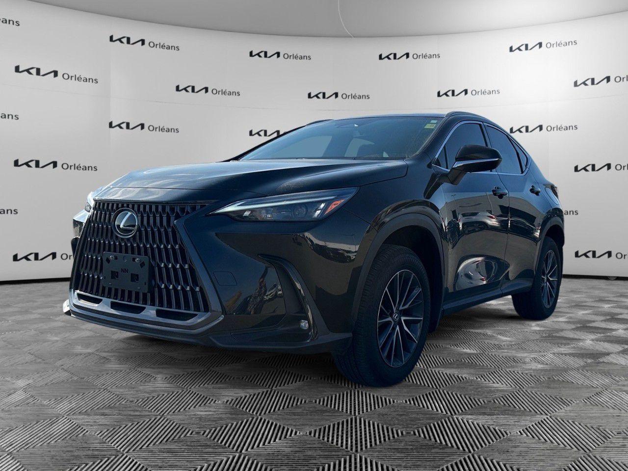 Used 2025 Lexus NX AWD for sale in Orleans, ON