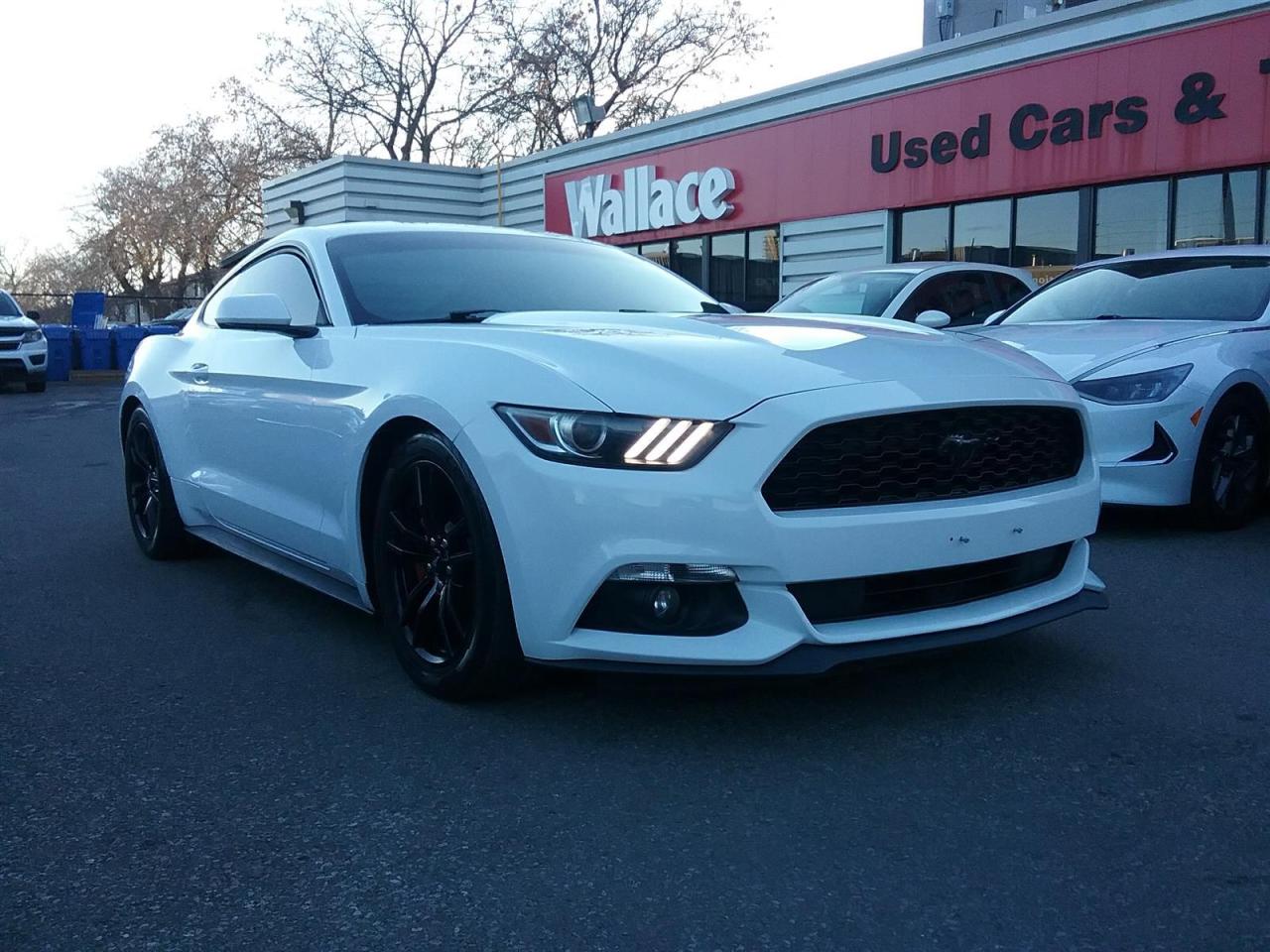 Used 2015 Ford Mustang EcoBoost | Coupe | NAV | Ricarro Seats for sale in Ottawa, ON