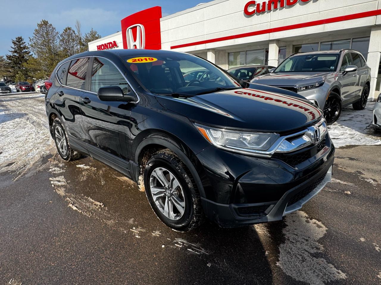 2019 Honda CR-V LX AWD Photo1