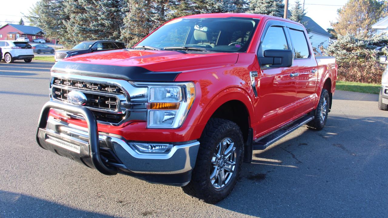 2021 Ford F-150  Photo