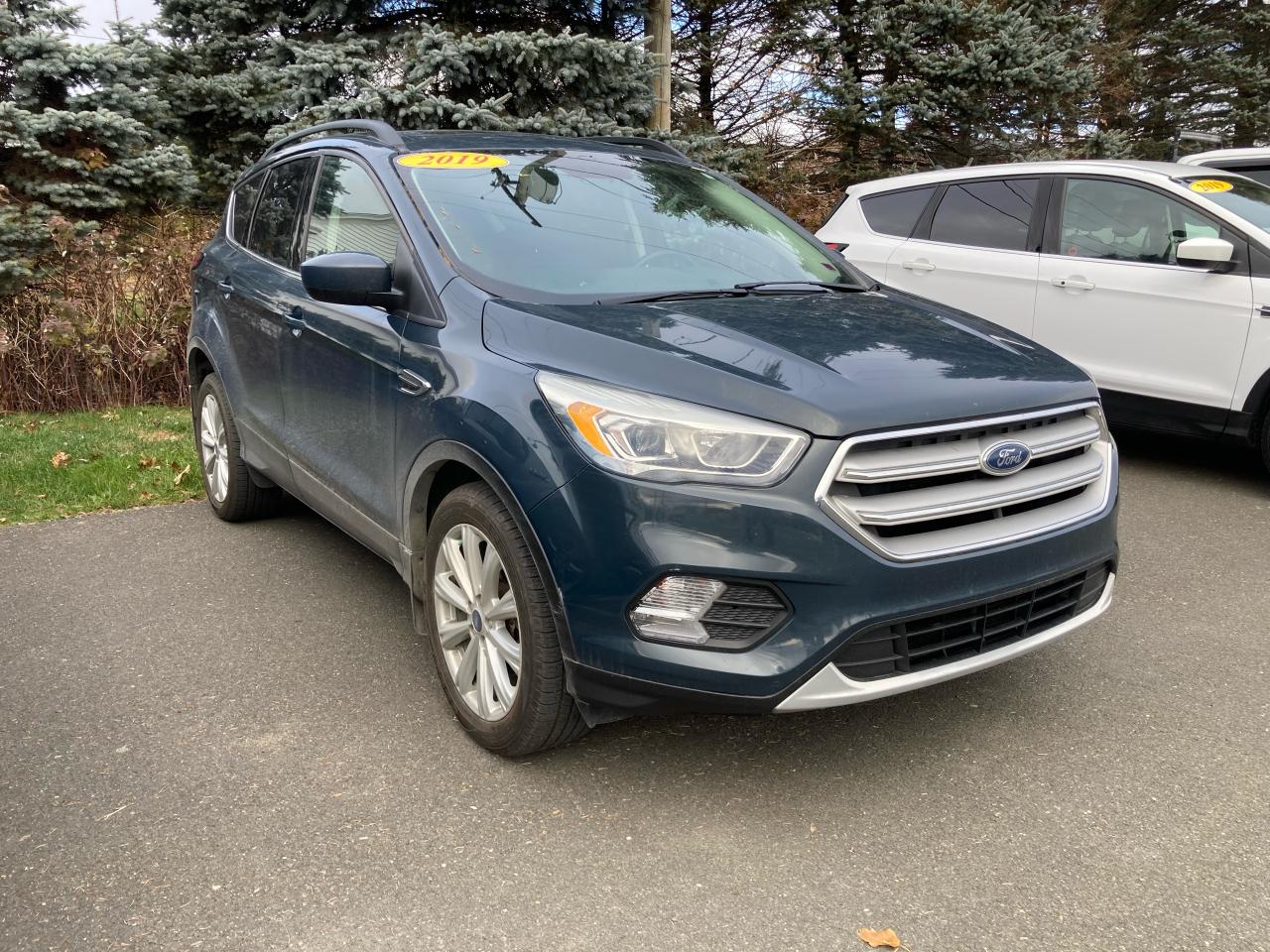 2019 Ford Escape  Photo