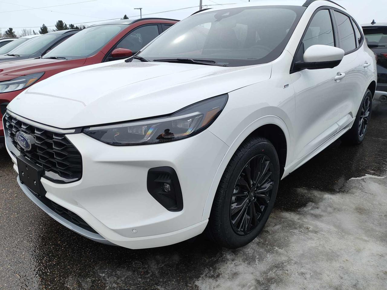New 2025 Ford Escape ST-Line Elite for sale in Pembroke, ON