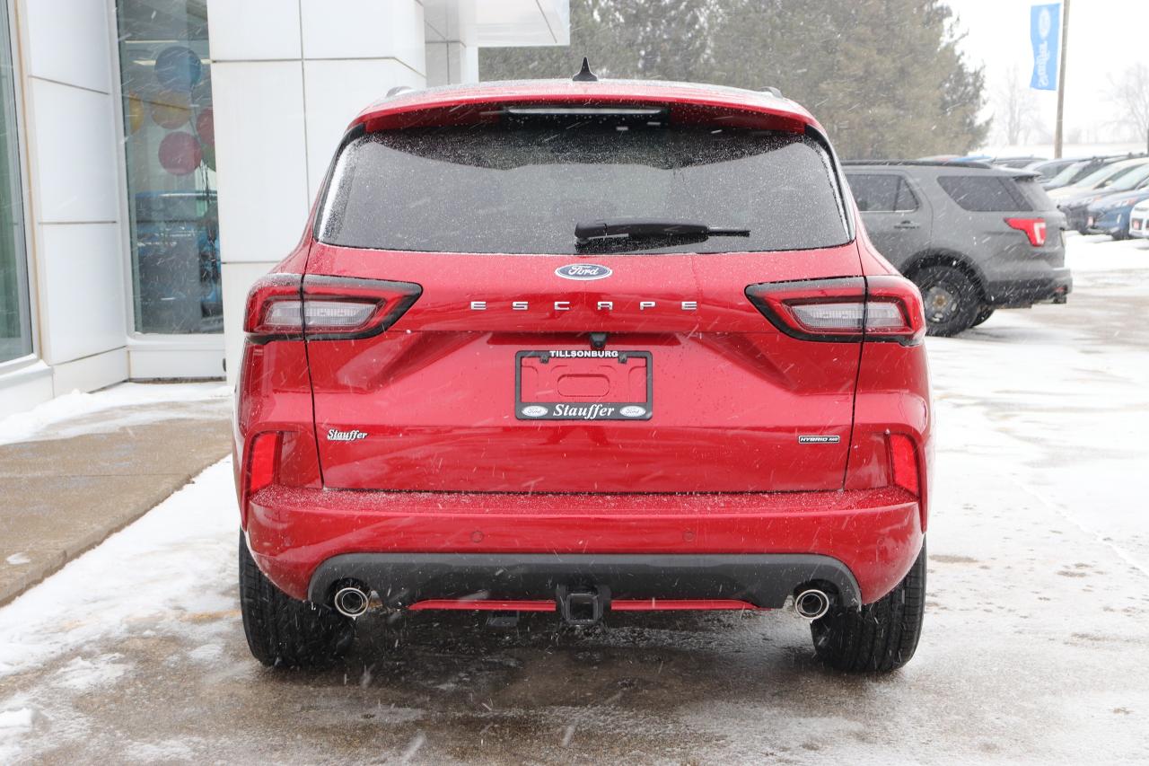 2025 Ford Escape ST-Line Elite AWD Photo