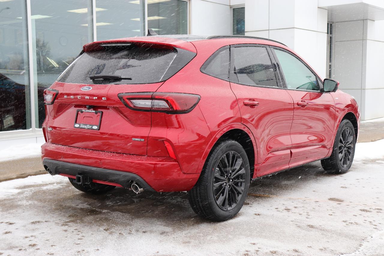 2025 Ford Escape ST-Line Elite AWD Photo