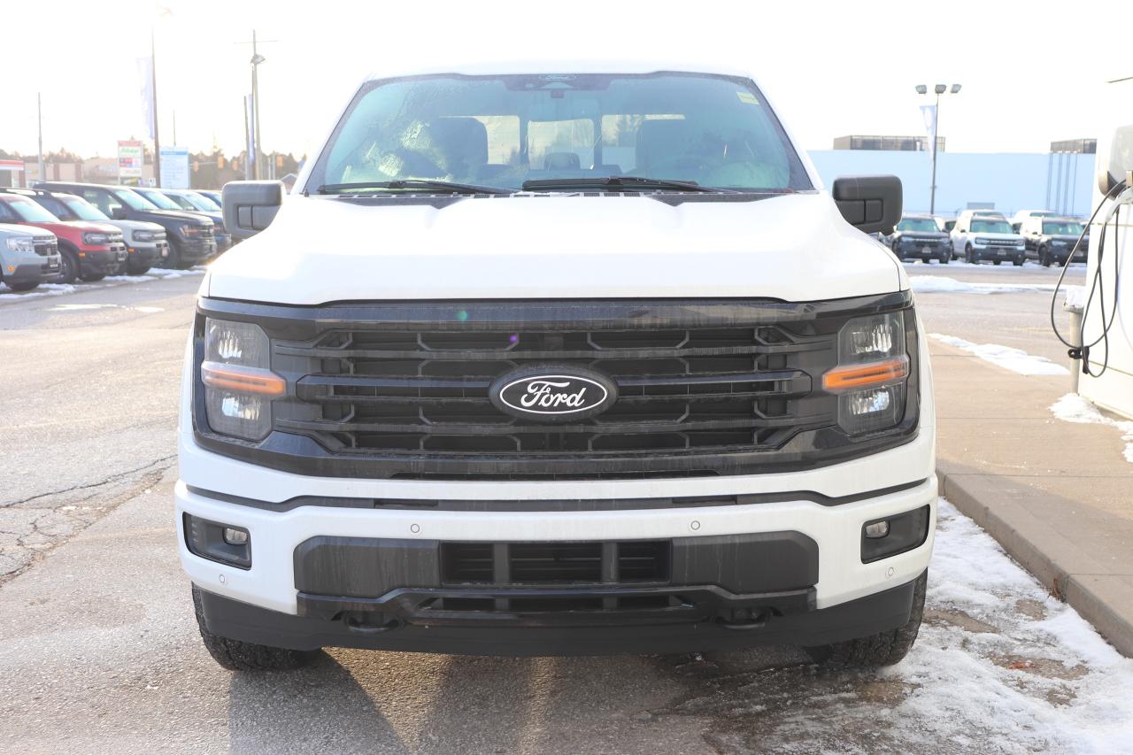 2025 Ford F-150 XLT 4WD SUPERCREW 5.5' BOX Photo3