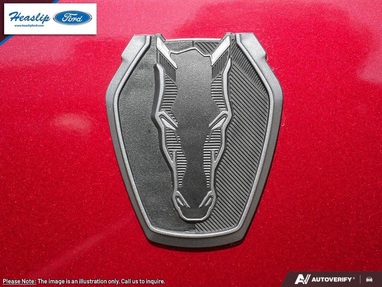 2025 Ford Mustang Dark Horse Photo