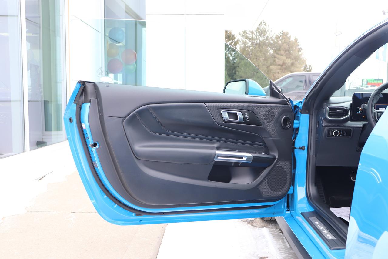 2025 Ford Mustang GT Premium Fastback Photo