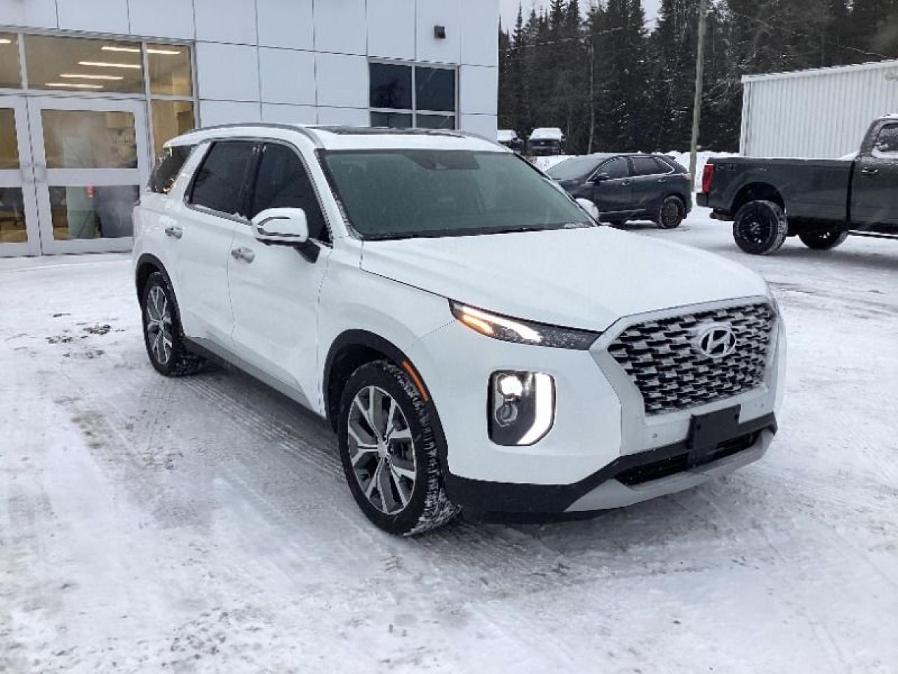 Used 2022 Hyundai PALISADE LUXURY for sale in Nipigon, ON