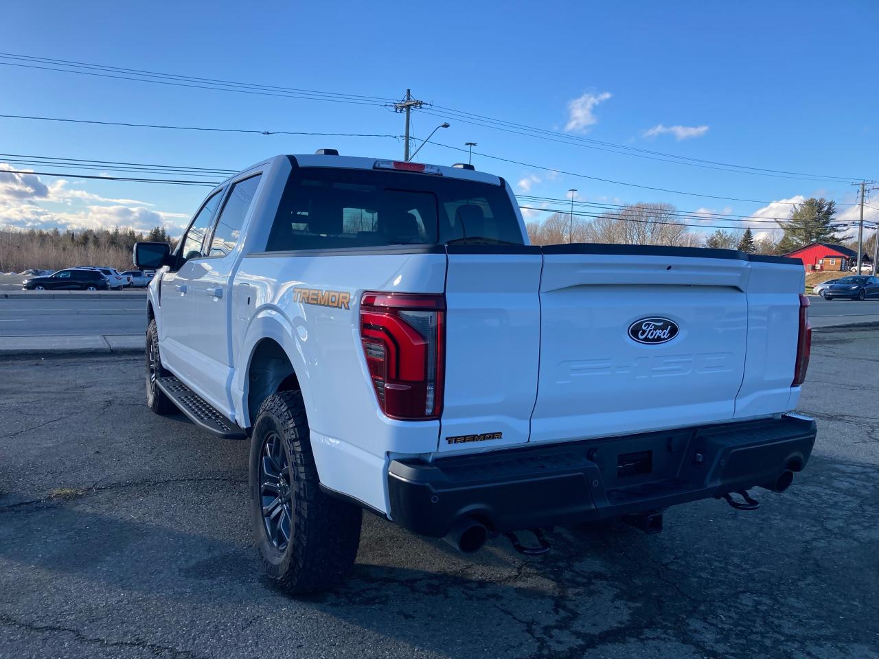 2024 Ford F-150 Tremor® Photo