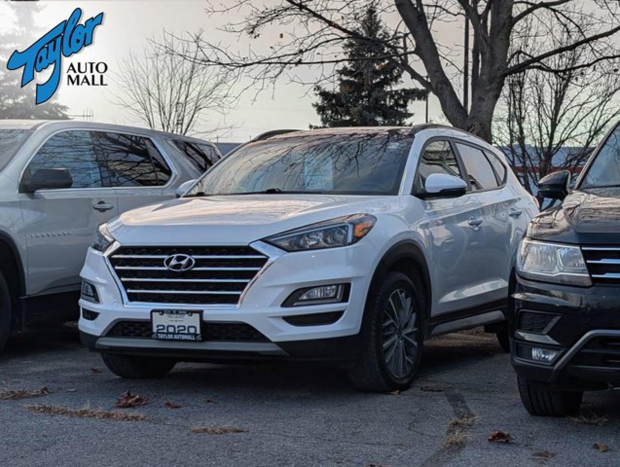 Used 2020 Hyundai Tucson Luxury- Leather Seats -  Sunroof - $154 B/W for sale in Kingston, ON