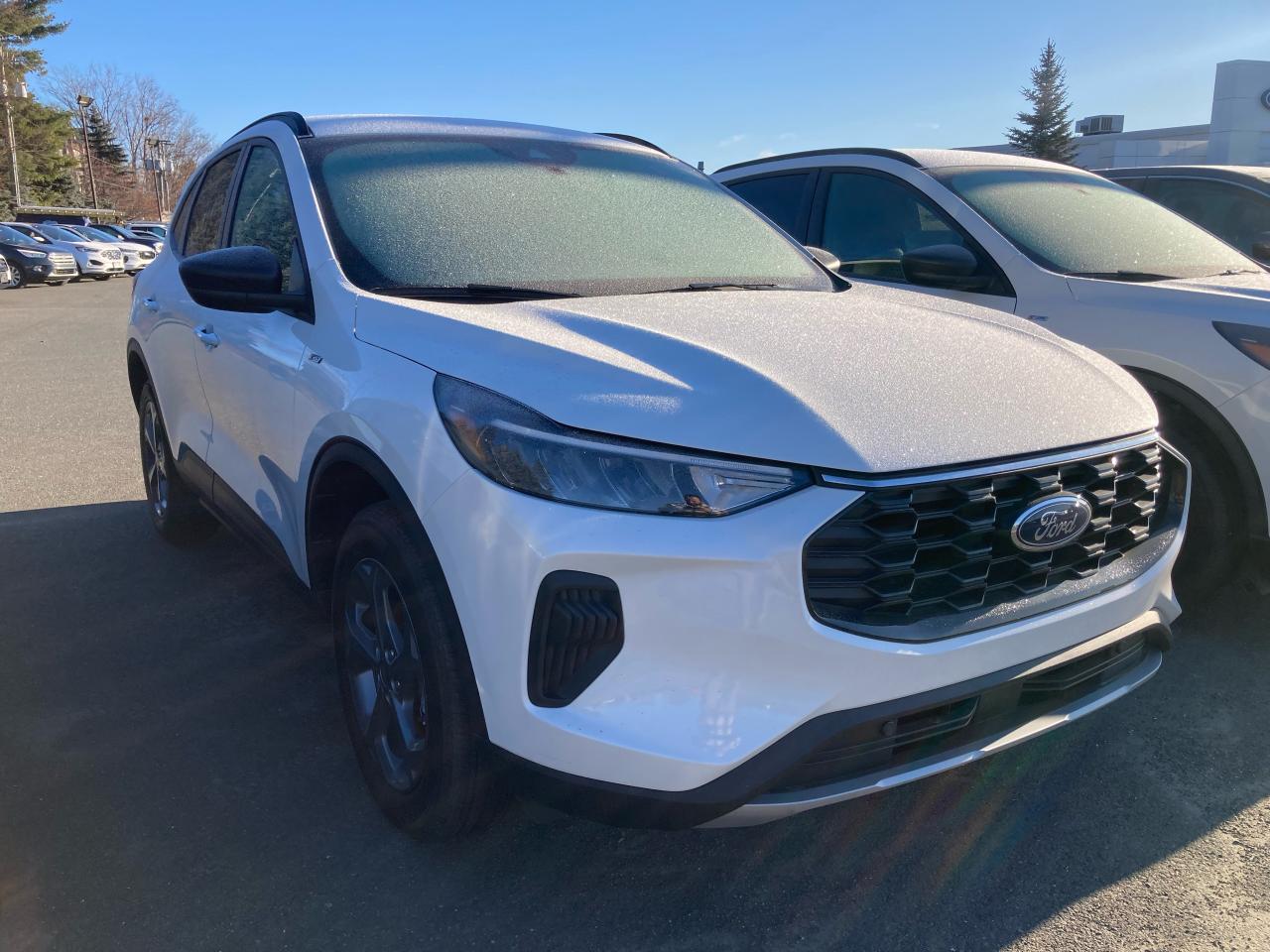 New 2025 Ford Escape ST-Line for sale in Woodstock, NB