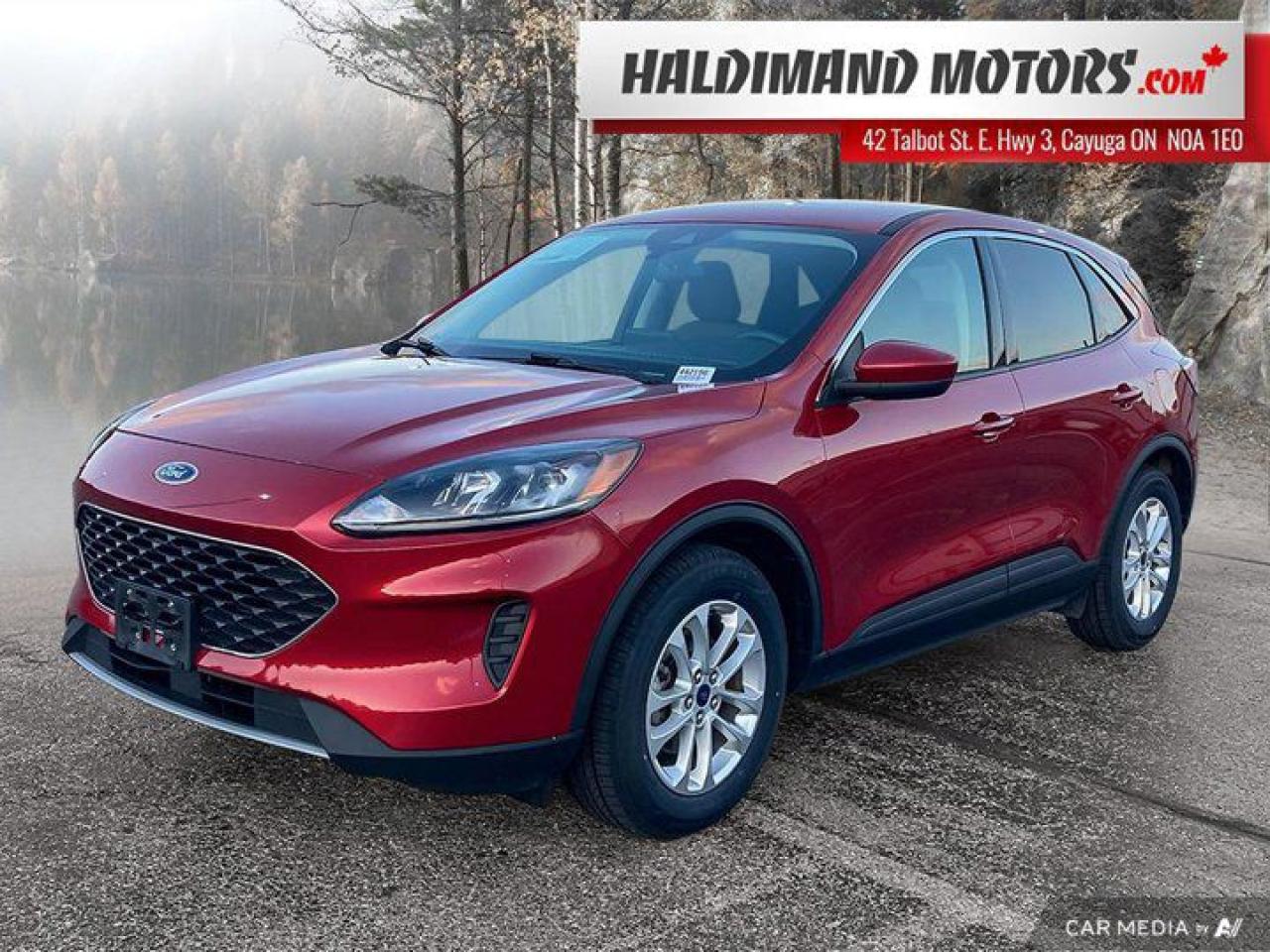 Used 2021 Ford Escape SE for sale in Cayuga, ON