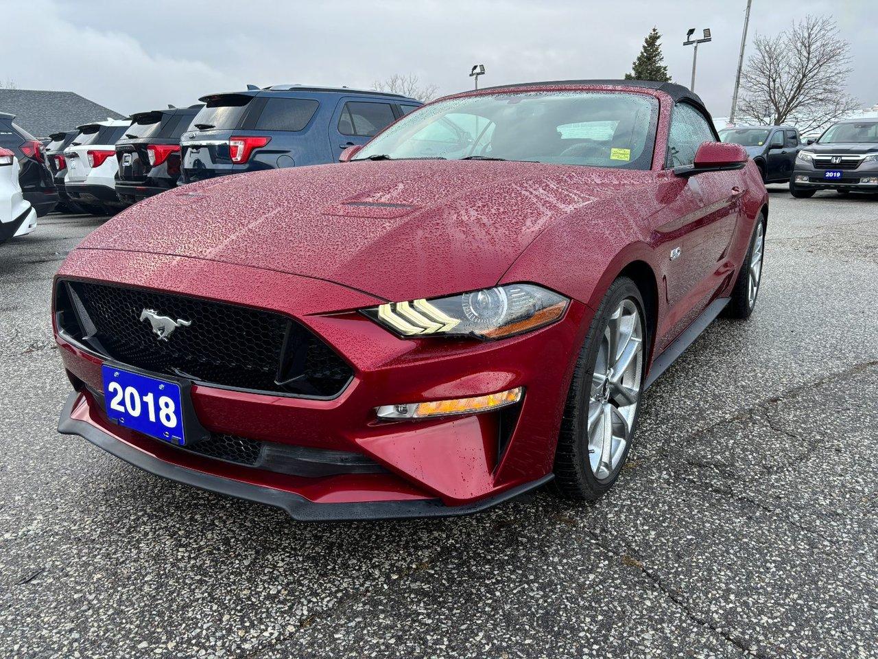 Used 2018 Ford Mustang GT Premium for sale in Essex, ON