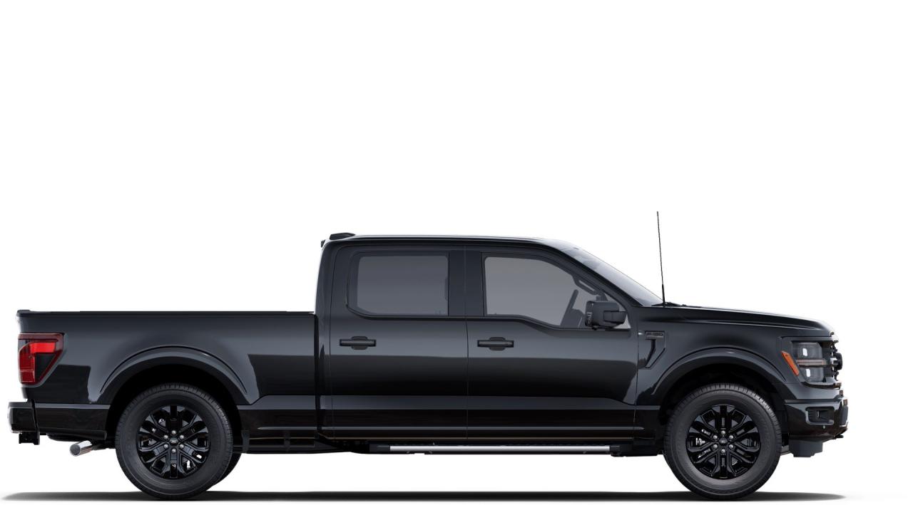 2025 Ford F-150 XLT Photo5