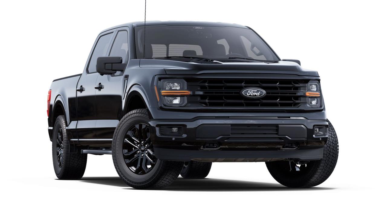 2025 Ford F-150 XLT Photo