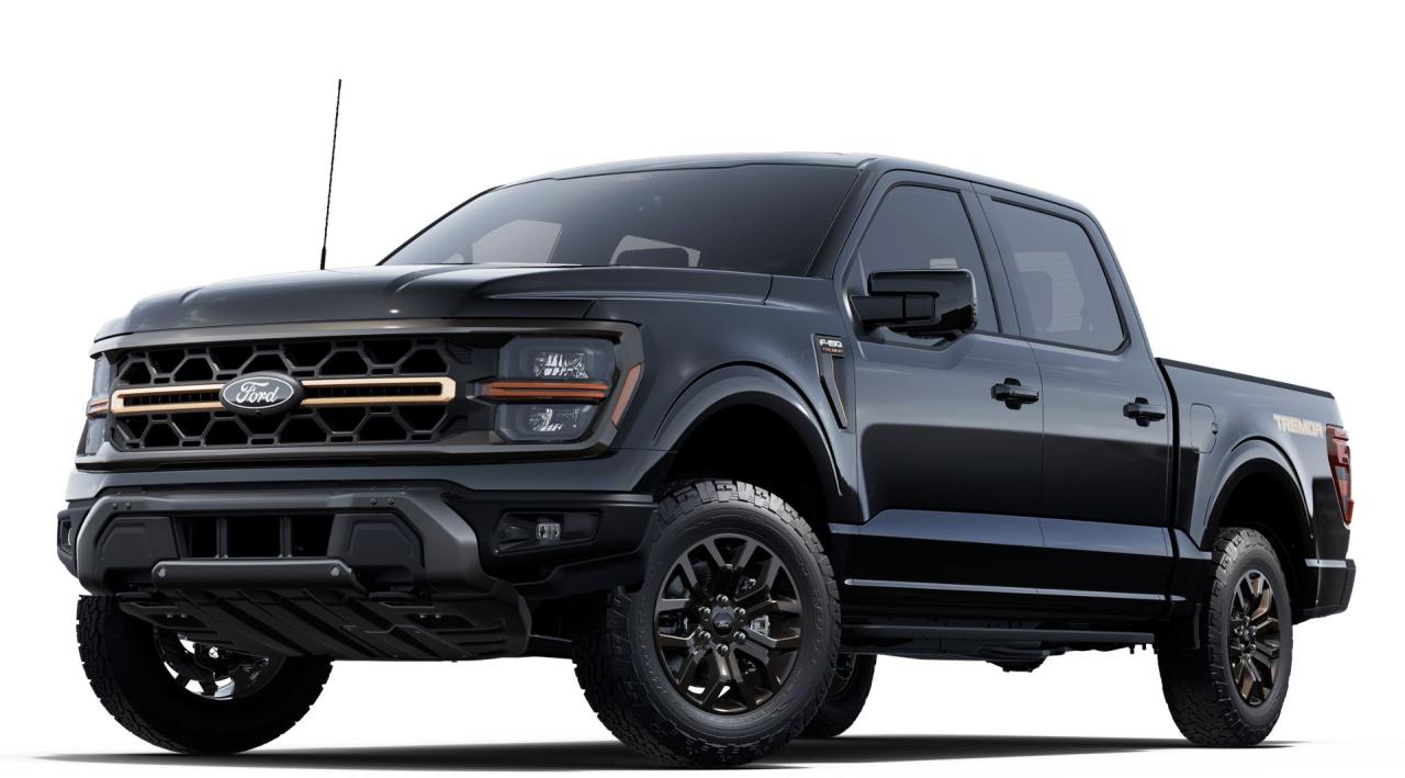 Image - 2025 Ford F-150 4x4 Supercrew-145