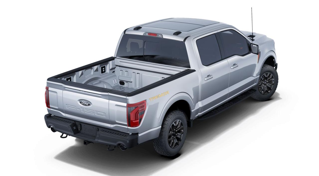 2025 Ford F-150 4x4 Supercrew-145 Photo