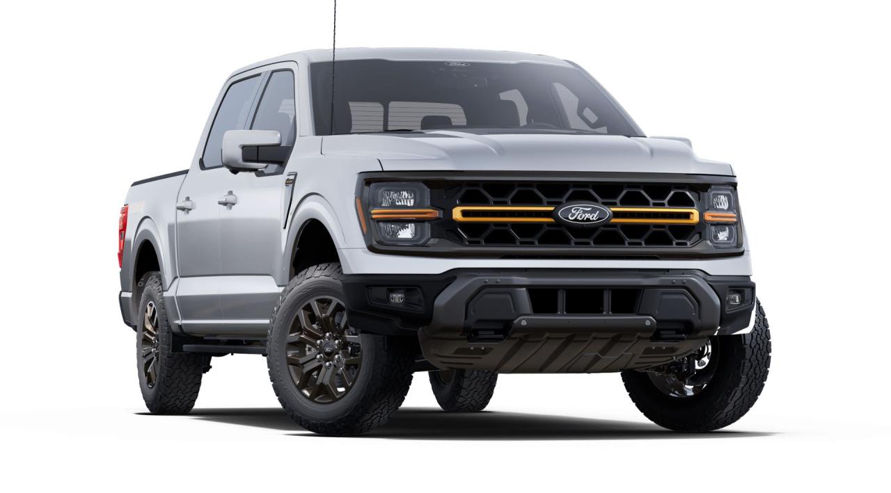 2025 Ford F-150 4x4 Supercrew-145 Photo