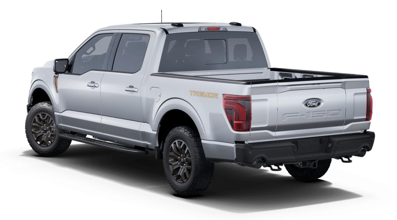 2025 Ford F-150 4x4 Supercrew-145 Photo