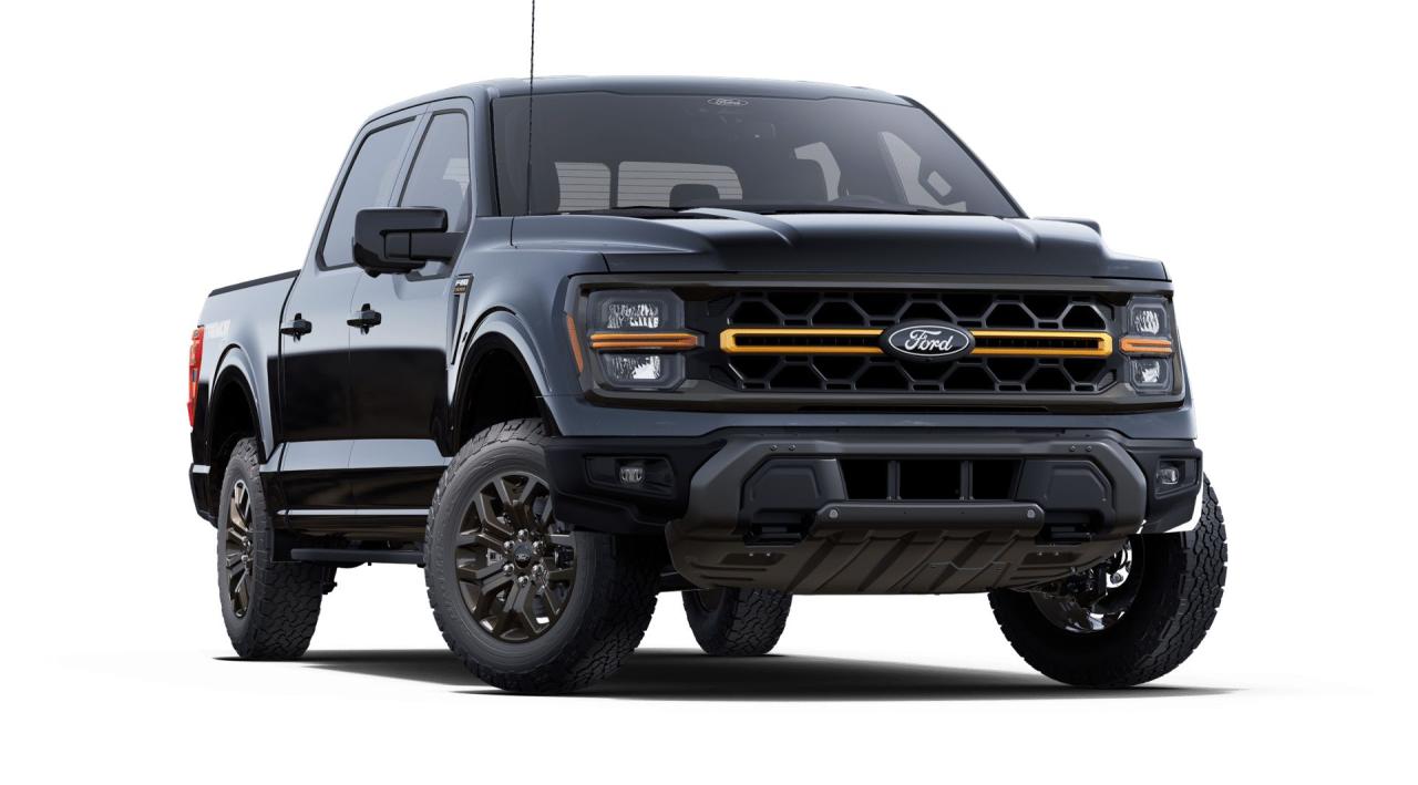 2025 Ford F-150 4x4 Supercrew-145 Photo