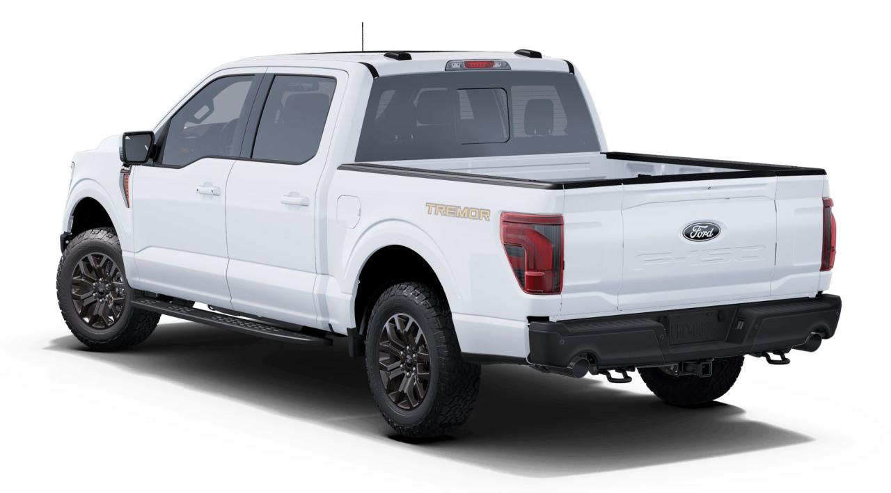 2025 Ford F-150 4x4 Supercrew-145 Photo