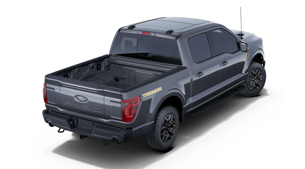 2025 Ford F-150 4x4 Supercrew-145 Photo