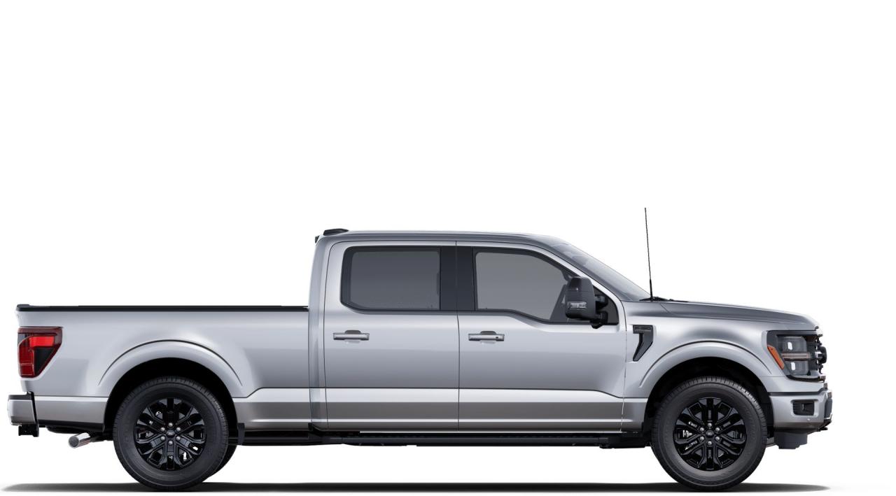 2025 Ford F-150 4x4 Supercrew-157 Photo4