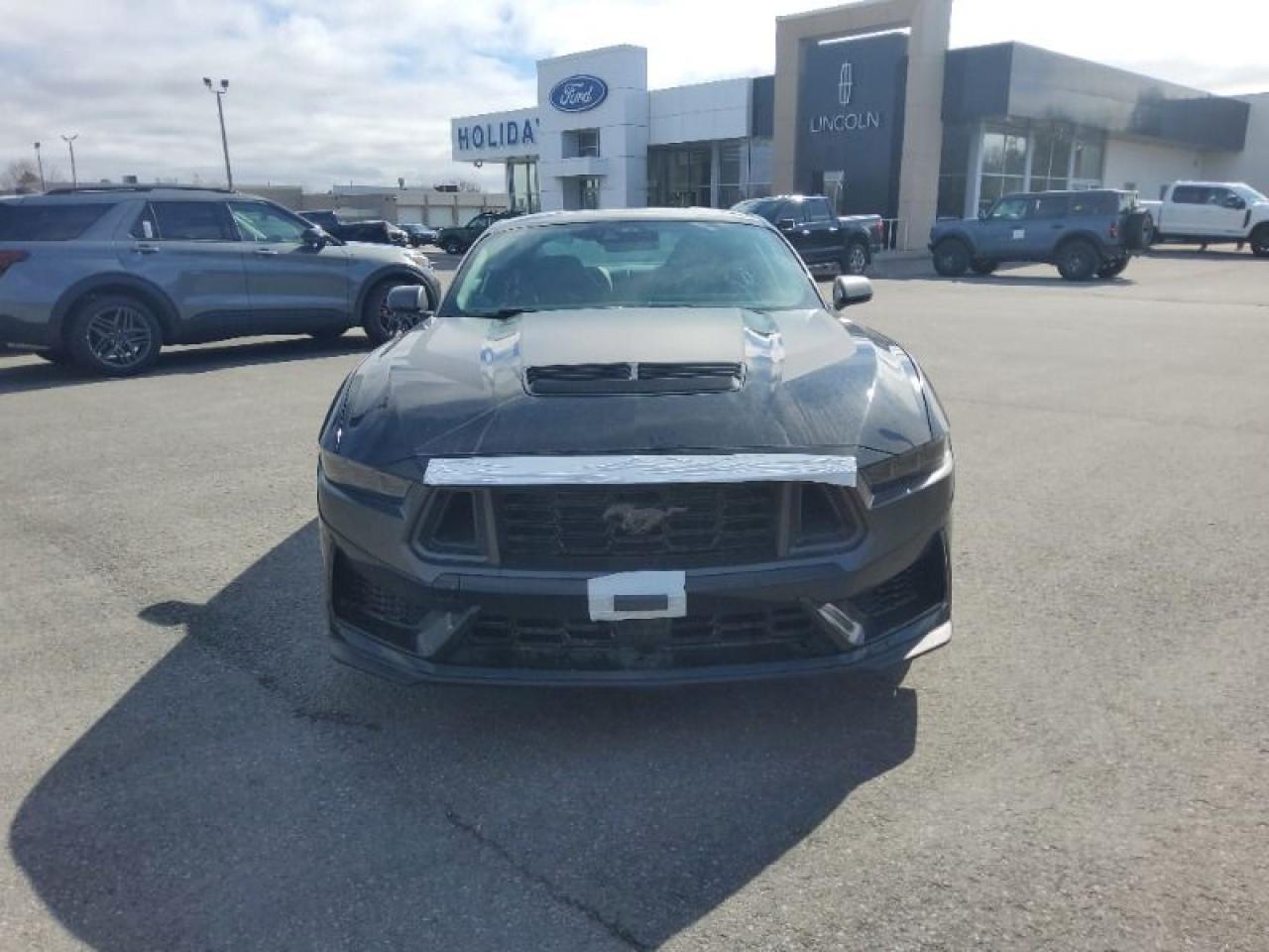 2025 Ford Mustang Dark Horse Photo