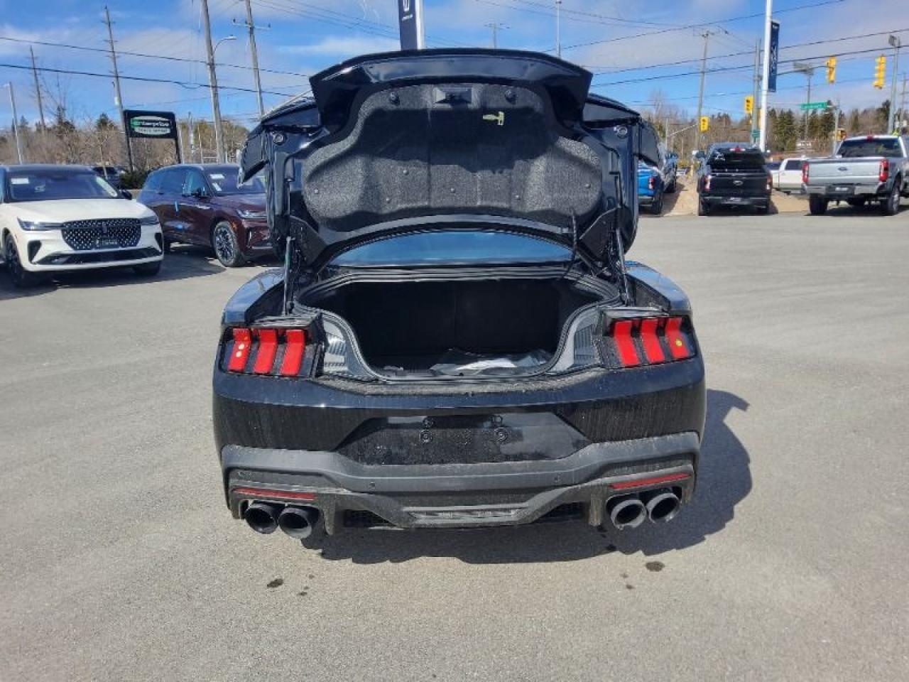 2025 Ford Mustang Dark Horse Photo