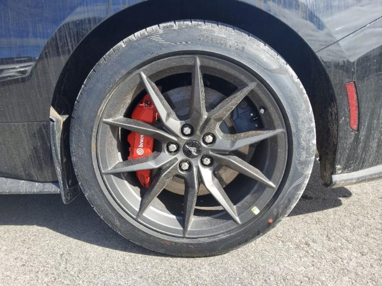 2025 Ford Mustang Dark Horse Photo