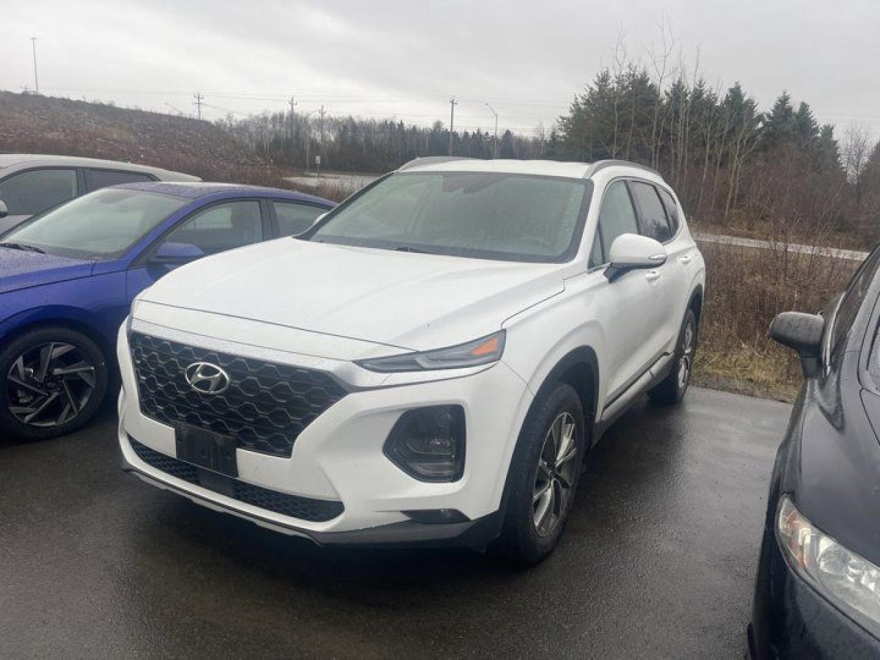 Used 2019 Hyundai Santa Fe Preferred for sale in Grand Falls-Windsor, NL