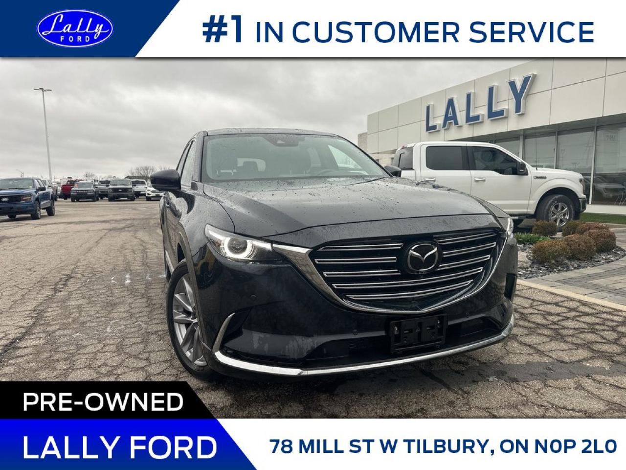 Used 2022 Mazda CX-9 GT, Moonroof, Leather, AWD, Nav! for sale in Tilbury, ON