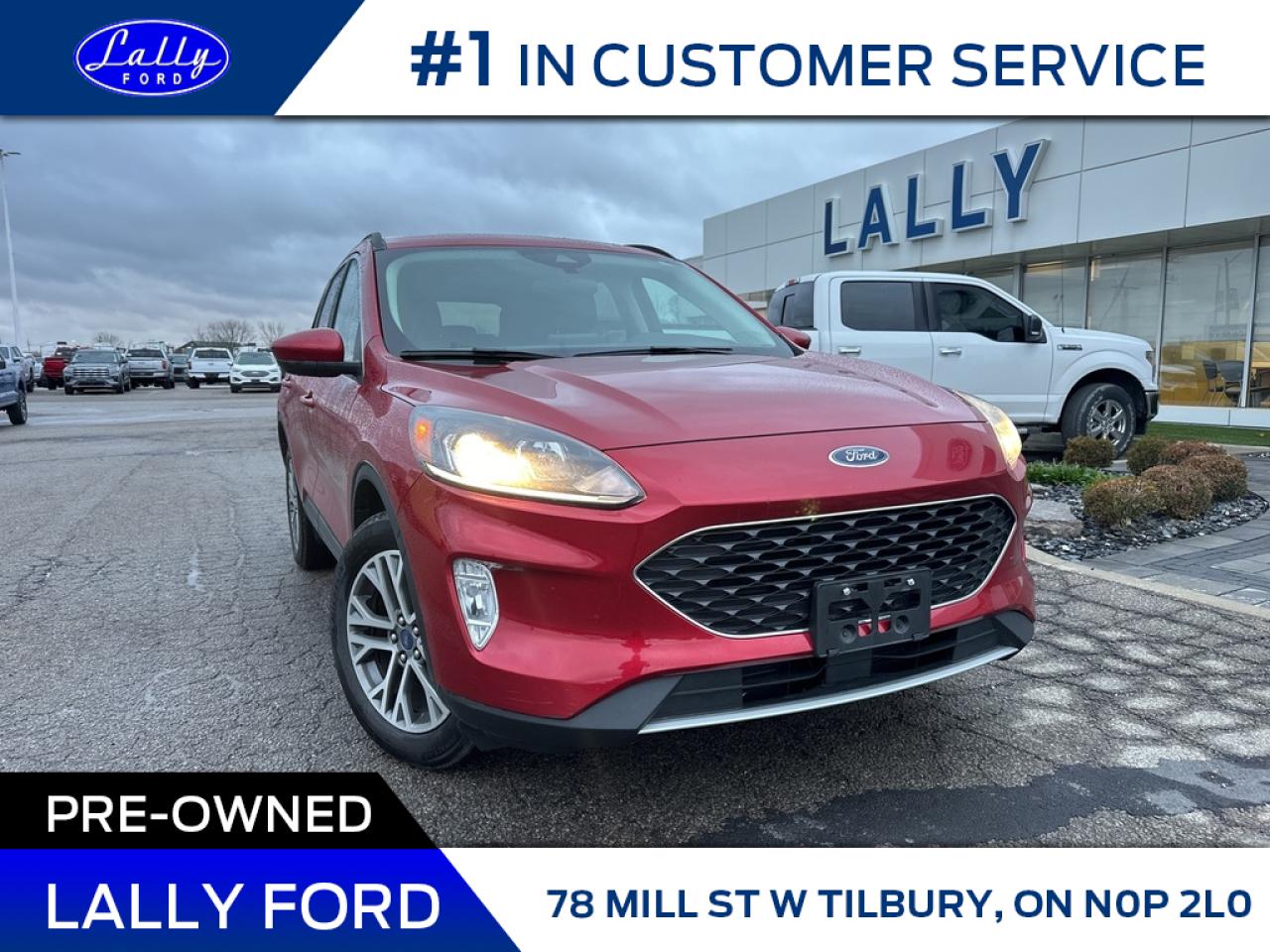 Used 2021 Ford Escape SEL, AWD, Nav, Leather, One Owner! for sale in Tilbury, ON