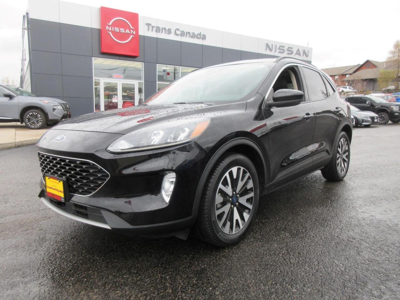 Used 2020 Ford Escape SEL for sale in Peterborough, ON