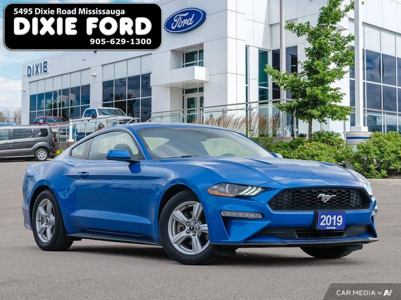 Used 2019 Ford Mustang EcoBoost for sale in Mississauga, ON