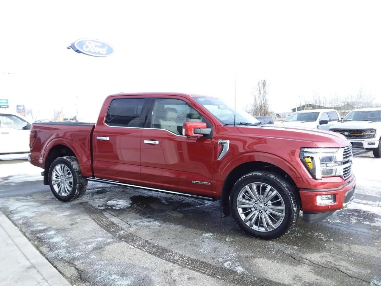 New 2024 Ford F-150 PLATINUM for sale in Lacombe, AB