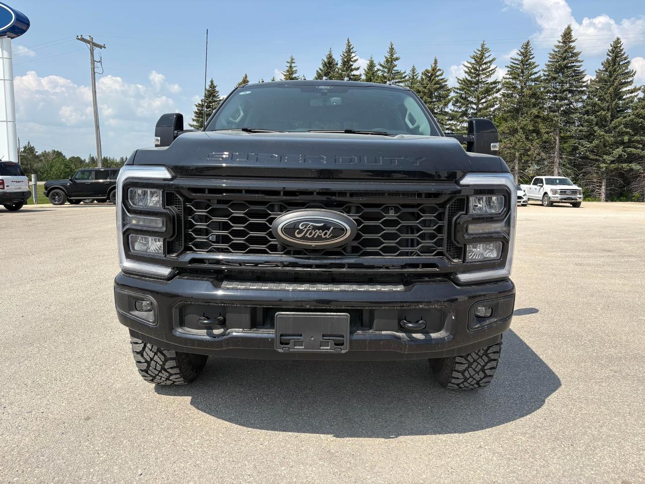2025 Ford F-350 Super Duty SRW LARIAT 4WD CREW CAB 6.75' BOX Photo