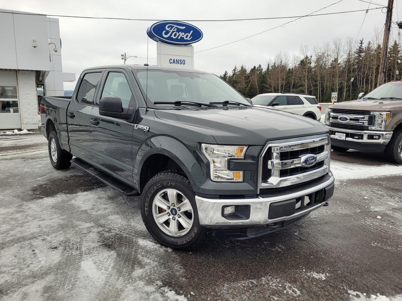 Used 2015 Ford F-150 Supercrew XLT 4WD W/ FX4 PKG for sale in Port Hawkesbury, NS