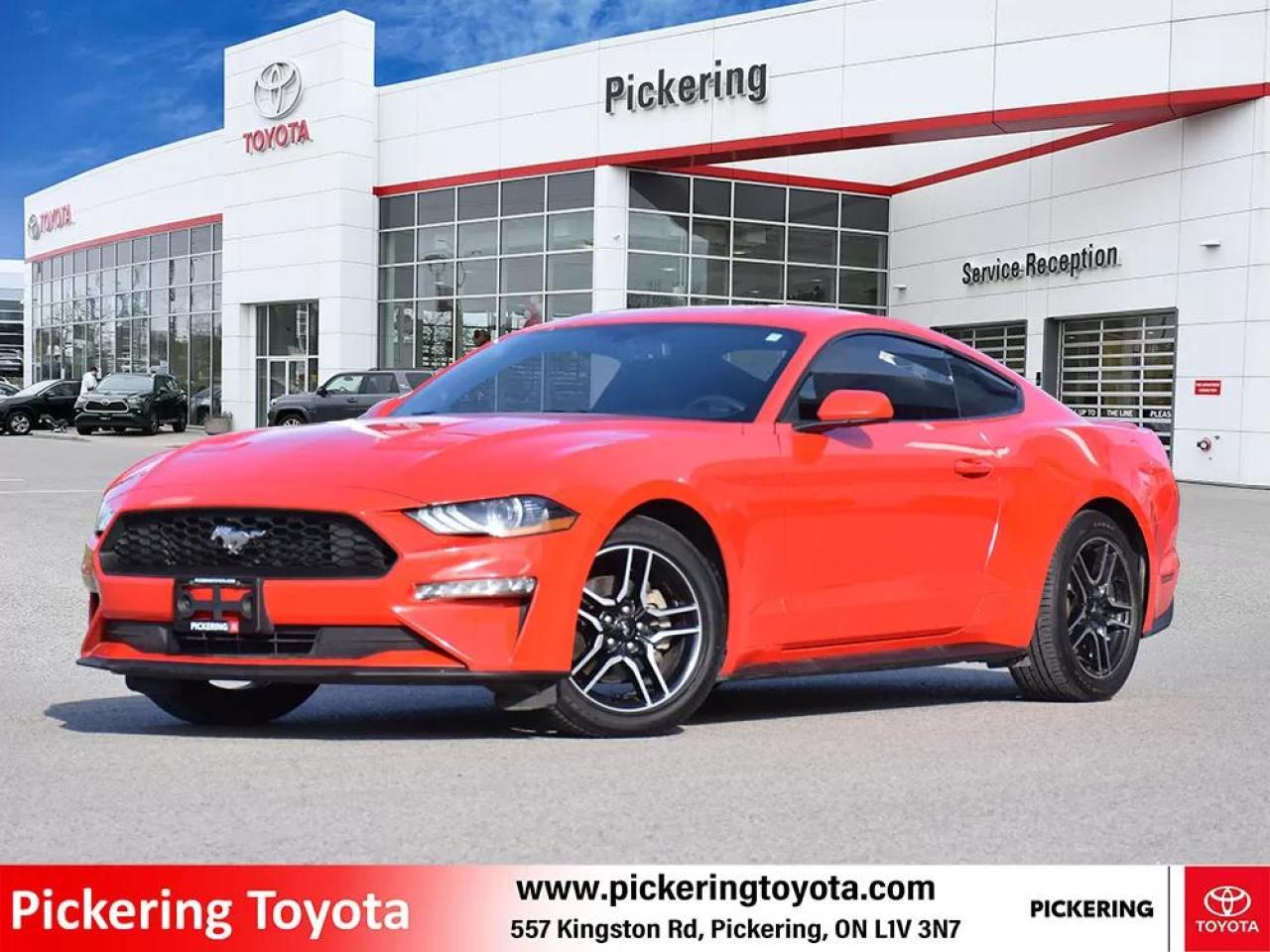 Used 2019 Ford Mustang 2 Door Fastback (Coupe) EcoBoost for sale in Pickering, ON