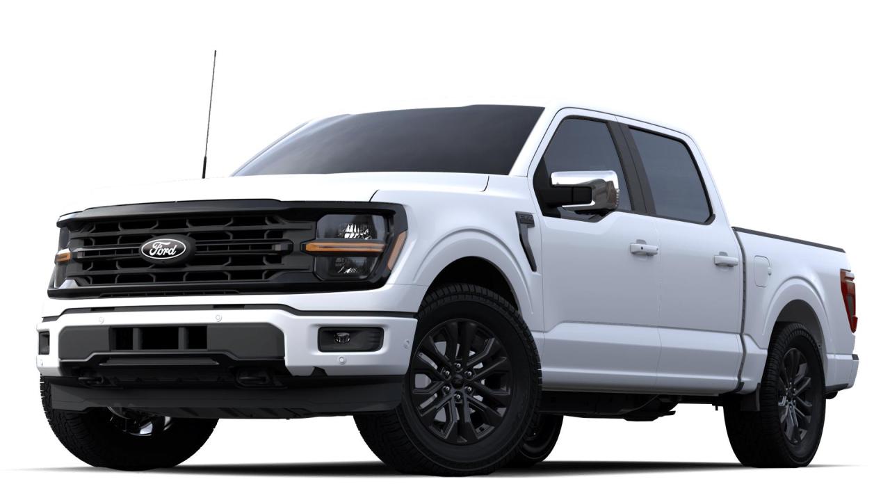 New 2024 Ford F-150 XLT for sale in Salmon Arm, BC