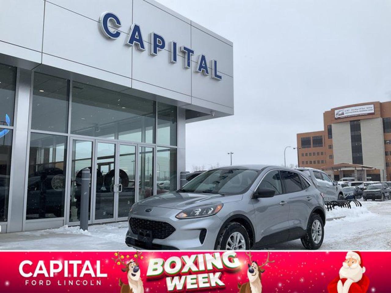 Used 2022 Ford Escape SE for sale in Winnipeg, MB