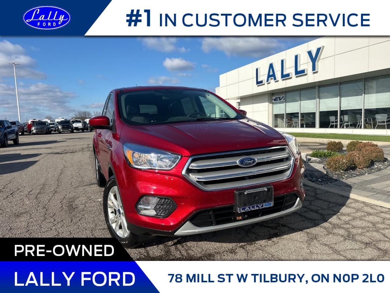 Used 2019 Ford Escape SE, Nav, Low Kms, One Owner!! for sale in Tilbury, ON