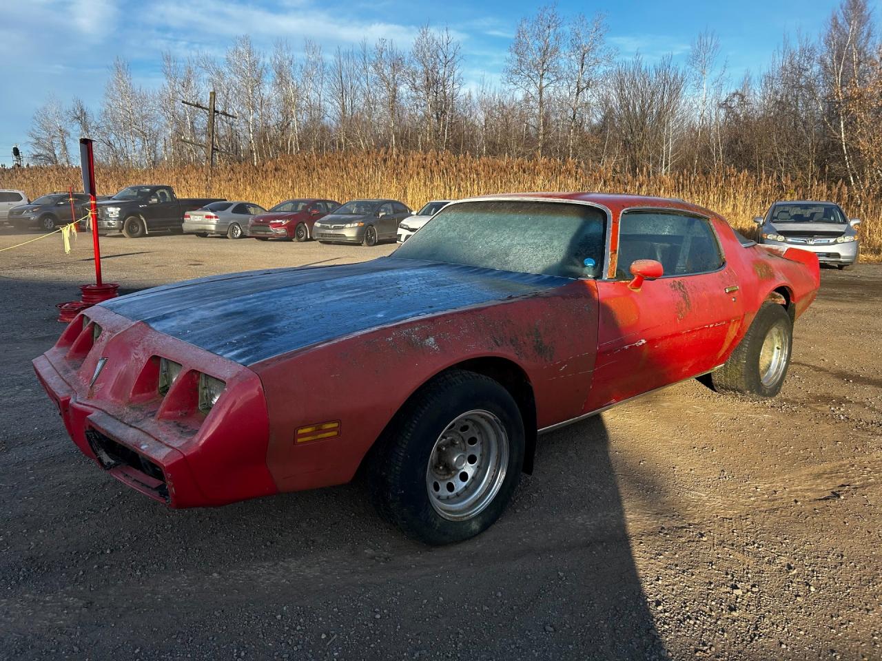 Used 1980 Pontiac Firebird  for sale in Saint-Lazare, QC