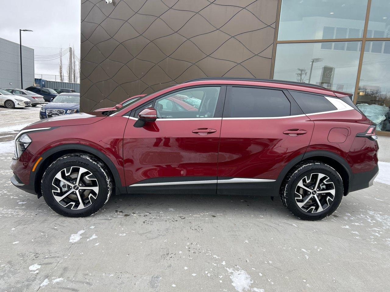 Used 2024 Kia Sportage EX for sale in Winnipeg, MB