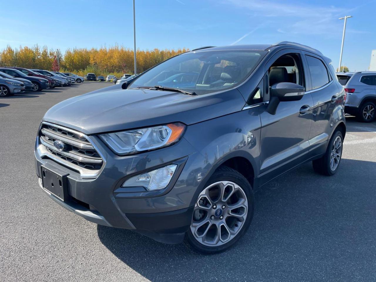 Used 2020 Ford EcoSport Titanium for sale in London, ON