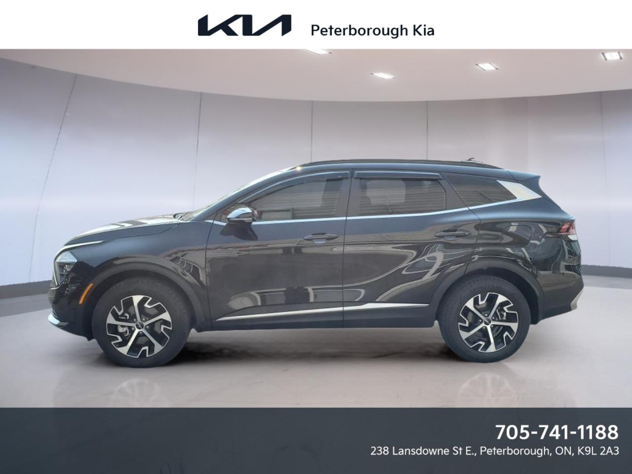 Used 2023 Kia Sportage EX Traction Intégrale for sale in Peterborough, ON