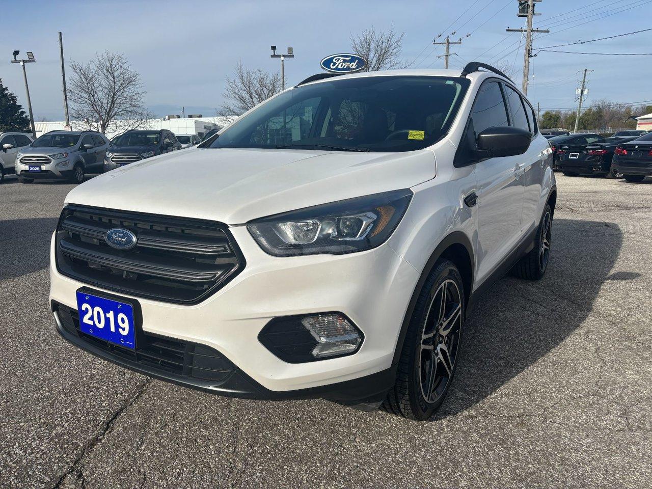 Used 2019 Ford Escape SEL for sale in Essex, ON