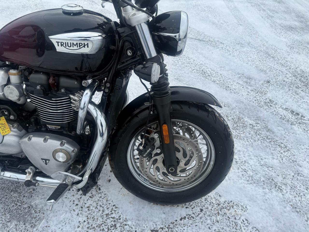 2024 Triumph Bonneville SPEEDMASTER, LIKE NEW, LIGHT DAMAGE, ONLY 700KMS, - Photo #9