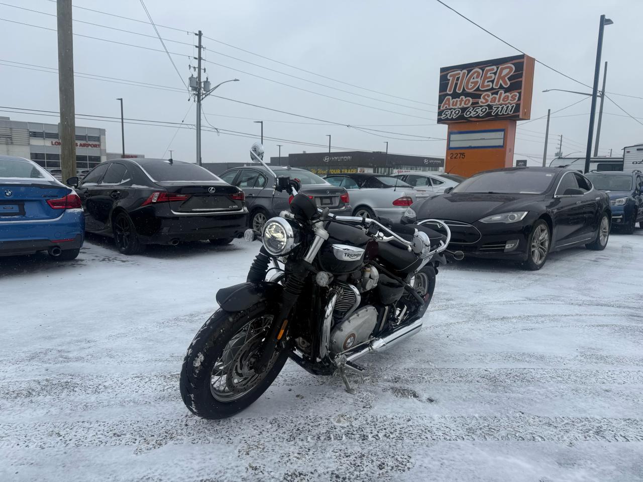 2024 Triumph Bonneville SPEEDMASTER, LIKE NEW, LIGHT DAMAGE, ONLY 700KMS,